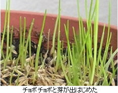 2014060205.png
